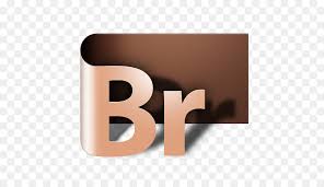 BR2019 (Adobe Bridge) 下载及安装教程