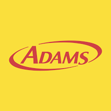 Adams 2018 下载及安装教程